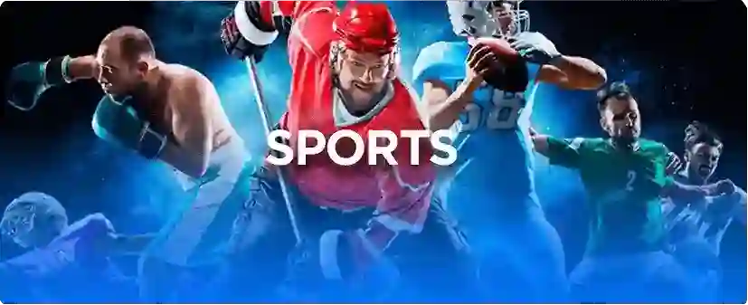 D9D9 Casino Sports